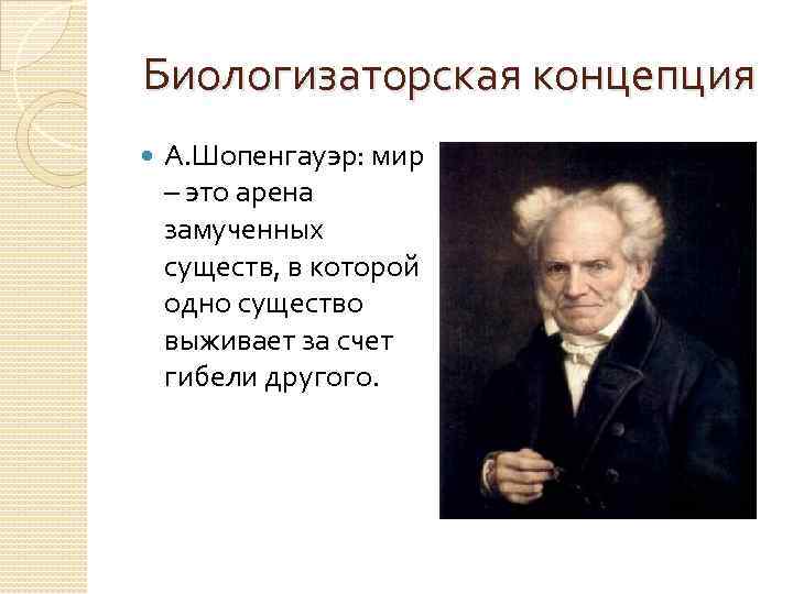 Биологизаторская концепция А. Шопенгауэр: мир – это арена замученных существ, в которой одно существо