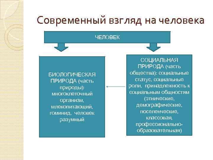 Современный взгляд на человека ЧЕЛОВЕК БИОЛОГИЧЕСКАЯ ПРИРОДА (часть природы): многоклеточный организм, млекопитающий, гоминид, человек