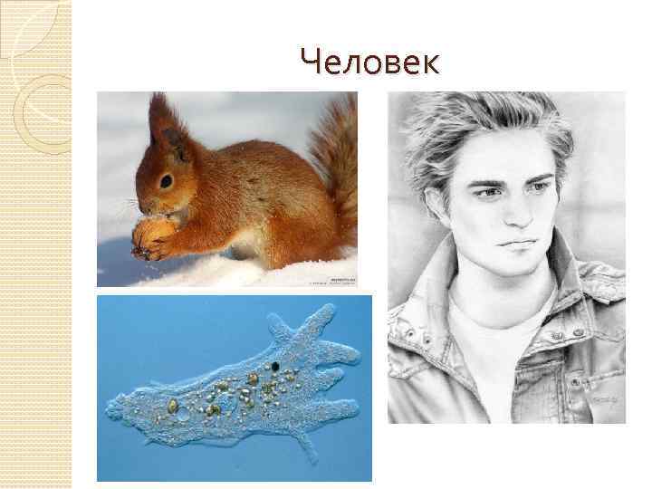 Человек 