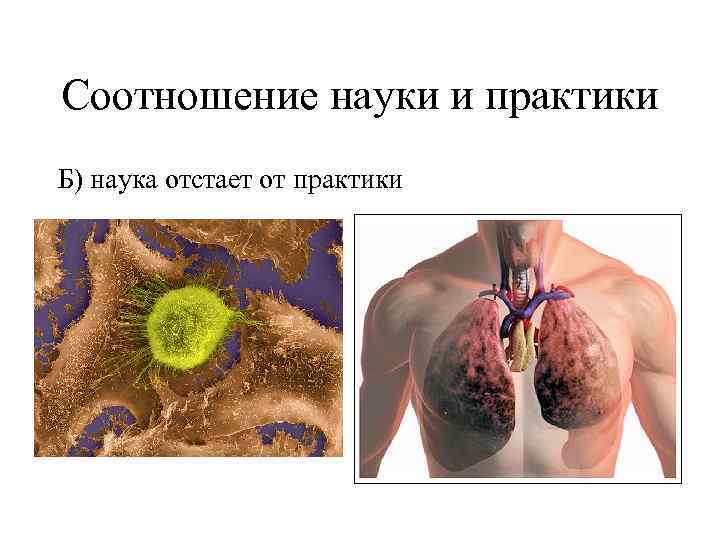 Соотношение науки и практики Б) наука отстает от практики 