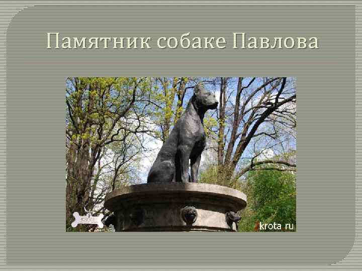 Памятник собаке Павлова 