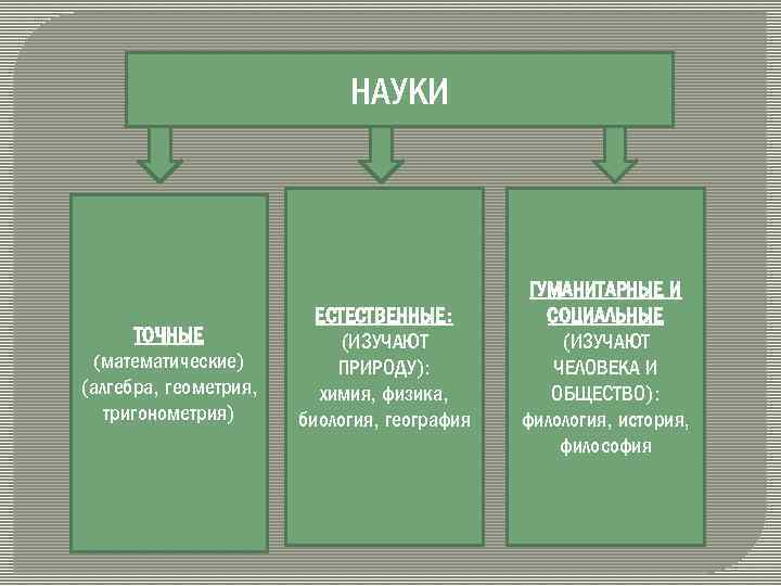 НАУКИ ТОЧНЫЕ (математические) (алгебра, геометрия, тригонометрия) ЕСТЕСТВЕННЫЕ: (ИЗУЧАЮТ ПРИРОДУ): химия, физика, биология, география ГУМАНИТАРНЫЕ