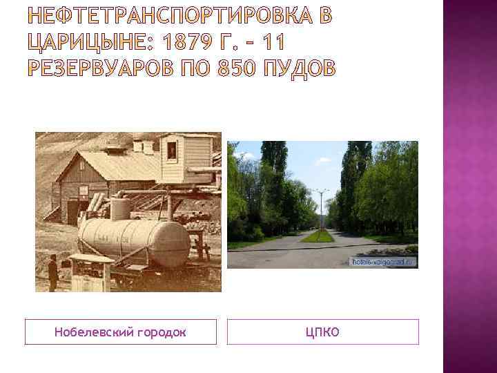 Нобелевский городок ЦПКО 