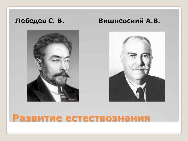 Лебедев С. В. Вишневский А. В. Развитие естествознания 