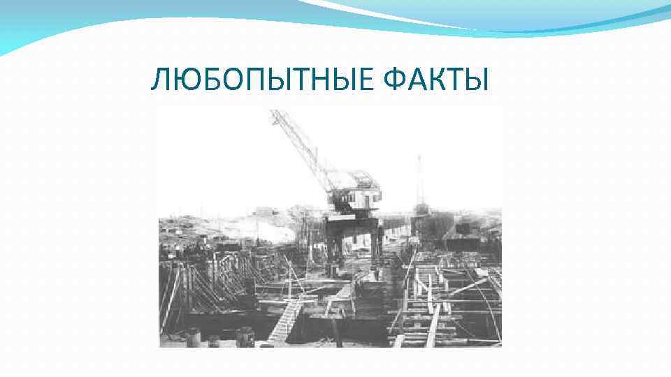 ЛЮБОПЫТНЫЕ ФАКТЫ 