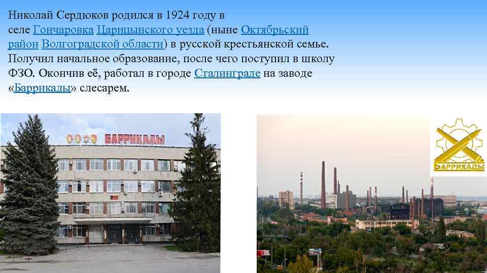 Николай Сердюков родился в 1924 году в селе Гончаровка Царицынского уезда (ныне Октябрьский район