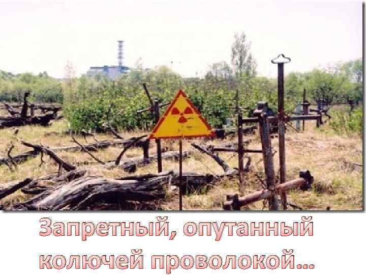 Запретный, опутанный колючей проволокой… 