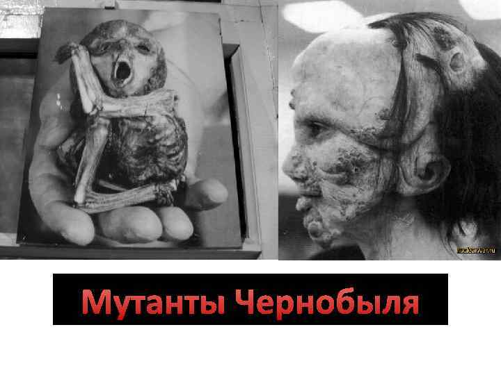 Мутанты Чернобыля 