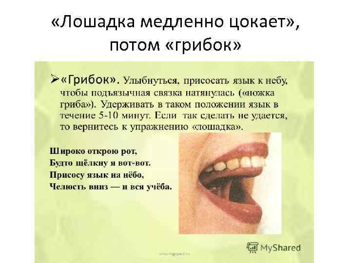  «Лошадка медленно цокает» , потом «грибок» 