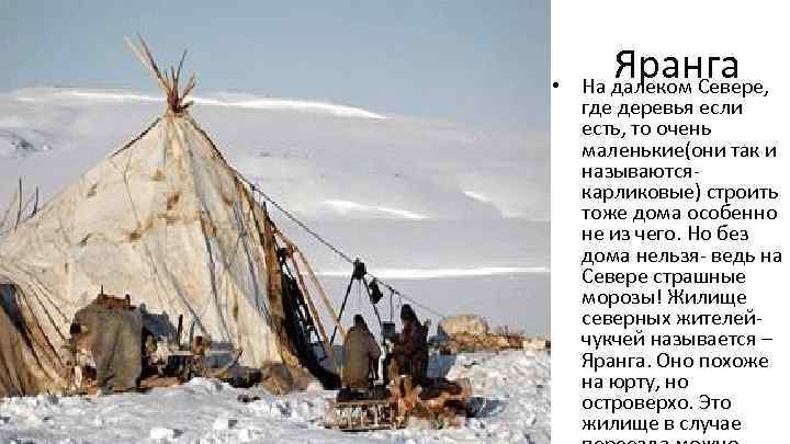  • Яранга На далеком Севере, где деревья если есть, то очень маленькие(они так