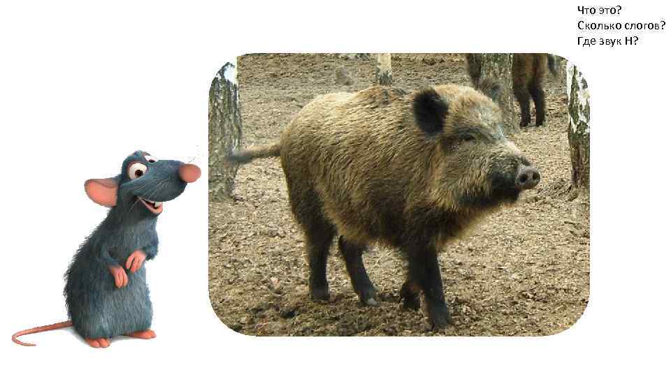 Что это? Сколько слогов? Где звук Н? 
