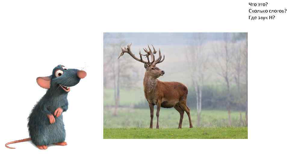 Что это? Сколько слогов? Где звук Н? 