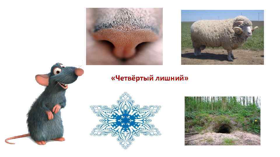  «Четвёртый лишний» 