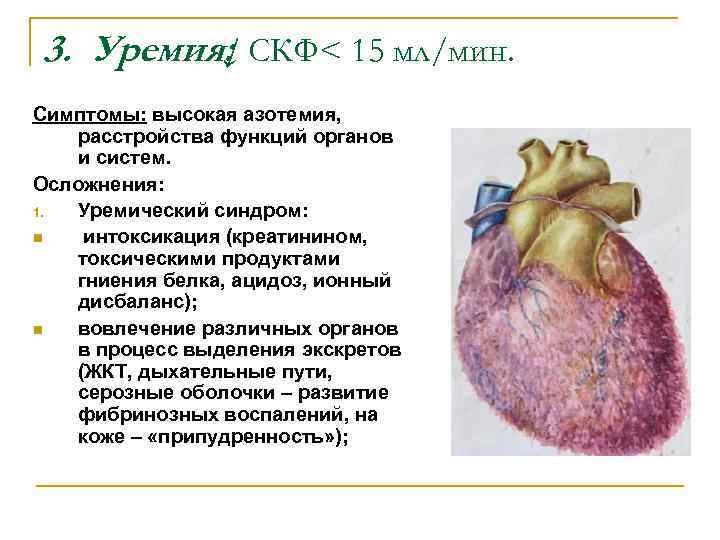 3. Уремия: СКФ< 15 мл/мин. ↓ Симптомы: высокая азотемия, расстройства функций органов и систем.