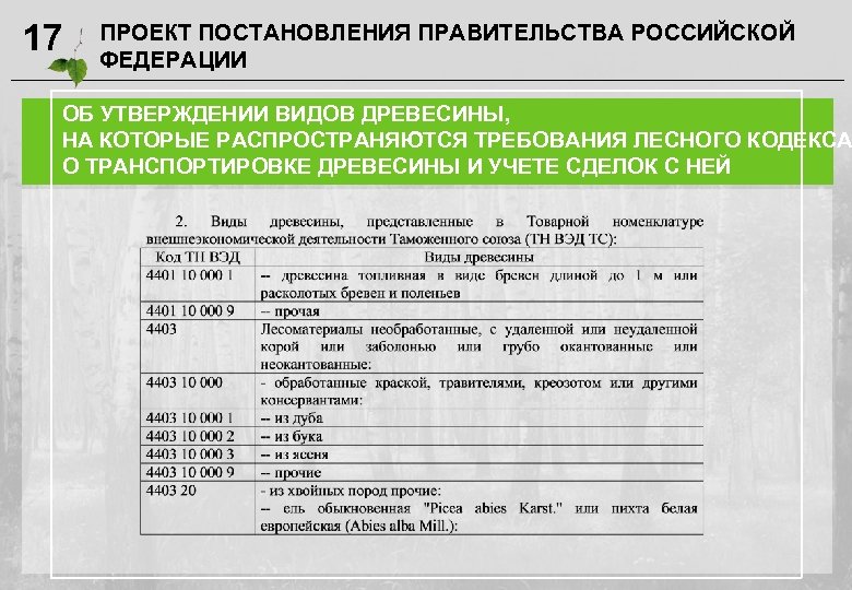 17 ПРОЕКТ ПОСТАНОВЛЕНИЯ ПРАВИТЕЛЬСТВА РОССИЙСКОЙ ФЕДЕРАЦИИ ОБ УТВЕРЖДЕНИИ ВИДОВ ДРЕВЕСИНЫ, НА КОТОРЫЕ РАСПРОСТРАНЯЮТСЯ ТРЕБОВАНИЯ