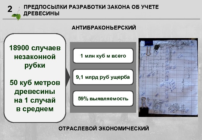 2 ПРЕДПОСЫЛКИ РАЗРАБОТКИ ЗАКОНА ОБ УЧЕТЕ ДРЕВЕСИНЫ АНТИБРАКОНЬЕРСКИЙ 18900 случаев незаконной рубки 50 куб