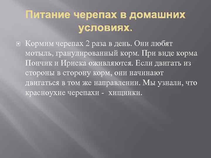 Питание черепах в домашних условиях. Кормим черепах 2 раза в день. Они любят мотыль,