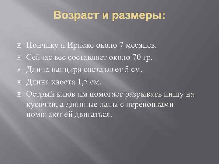 Возраст и размеры: Пончику и Ириске около 7 месяцев. Сейчас вес составляет около 70