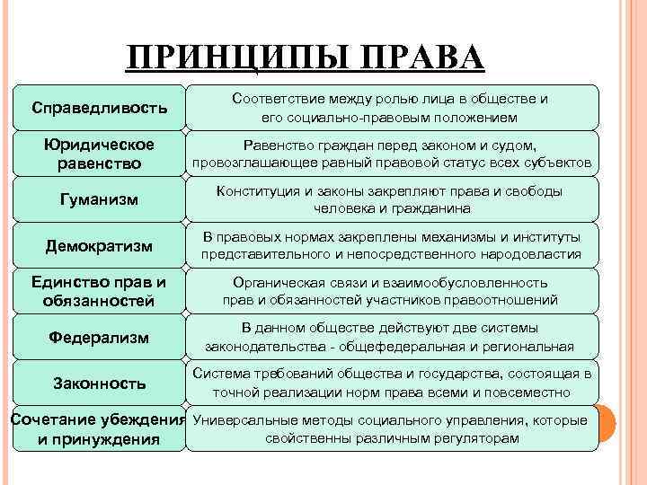 Понятие принципы и виды