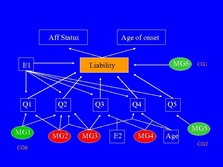 Aff Status E 1 Q 1 MG 1 CG 6 Age of onset MG