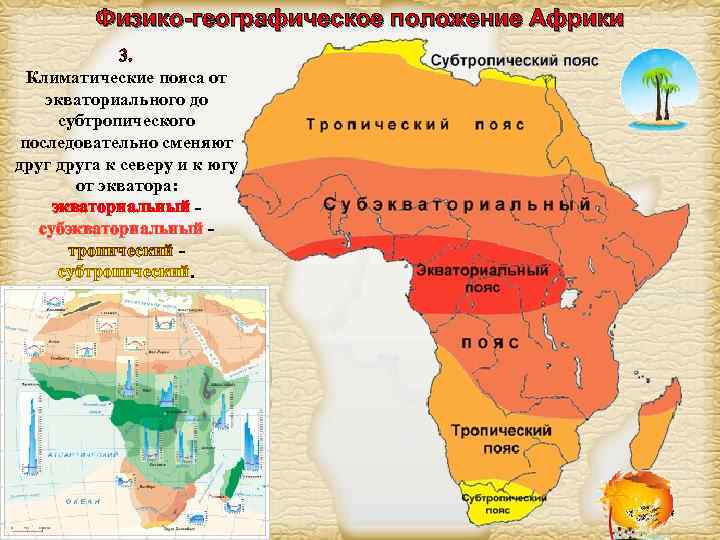 Физико-географическое положение Африки 3. Климатические пояса от экваториального до субтропического последовательно сменяют друга к