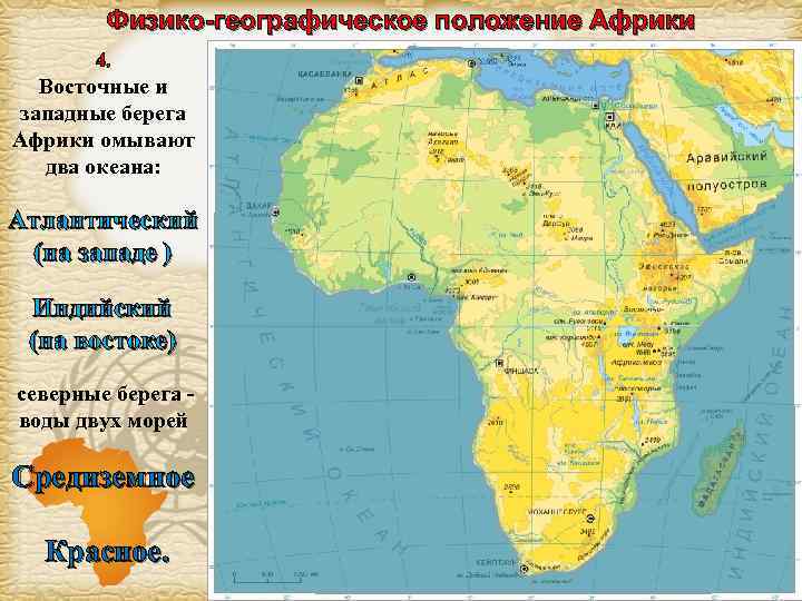 Физико-географическое положение Африки 4. Восточные и западные берега Африки омывают два океана: Атлантический (на