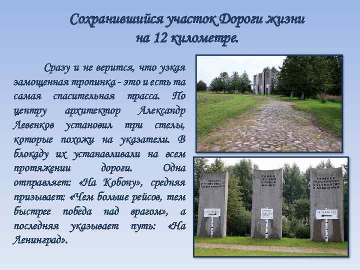 Сохранившийся участок Дороги жизни на 12 километре. Сразу и не верится, что узкая замощенная