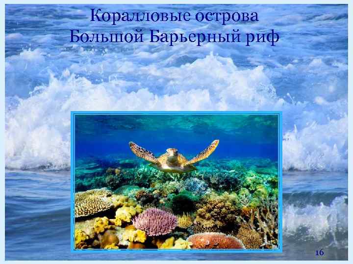 Коралловые острова Большой Барьерный риф 16 