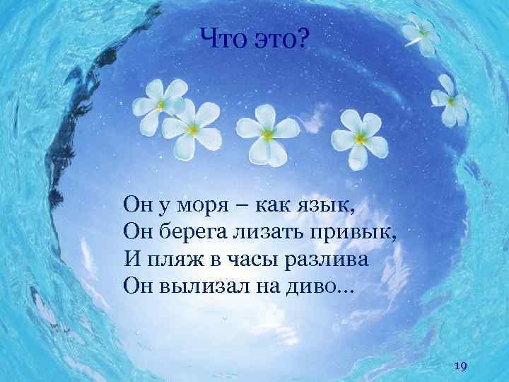 Что это? Он у моря – как язык, Он берега лизать привык, И пляж