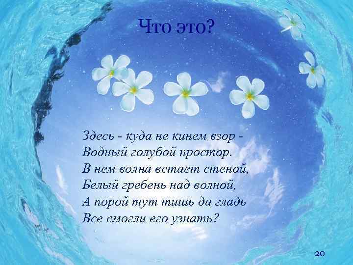 Что это? Здесь - куда не кинем взор Водный голубой простор. В нем волна