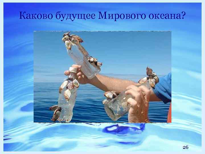 Каково будущее Мирового океана? 26 
