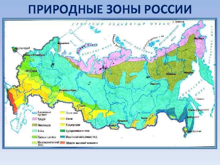 ПРИРОДНЫЕ ЗОНЫ РОССИИ 