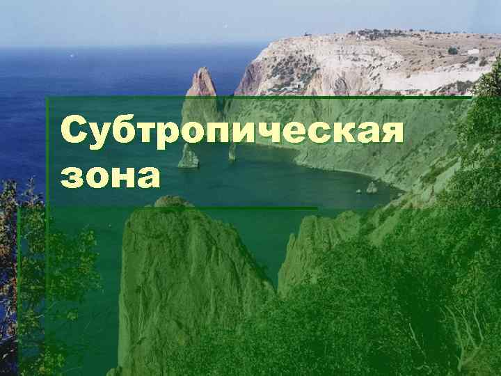 Субтропическая зона 