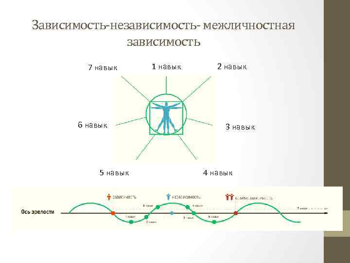 Зависимость-независимость- межличностная зависимость 7 навык 6 навык 5 навык 1 навык 2 навык 3