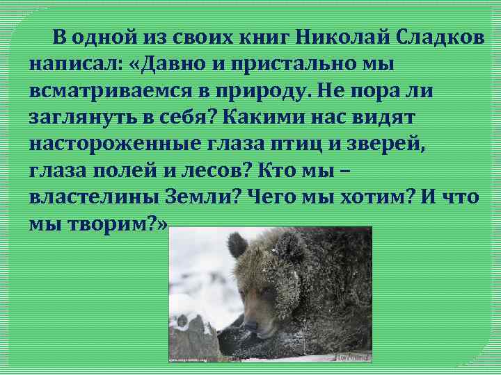  В одной из своих книг Николай Сладков написал: «Давно и пристально мы всматриваемся