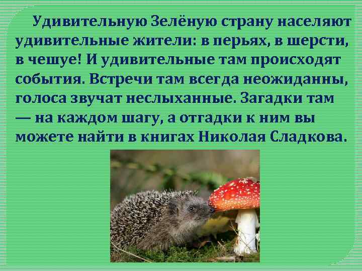  Удивительную Зелёную страну населяют удивительные жители: в перьях, в шерсти, в чешуе! И