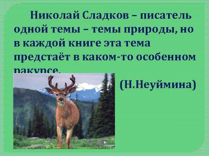  Николай Сладков – писатель одной темы – темы природы, но в каждой книге