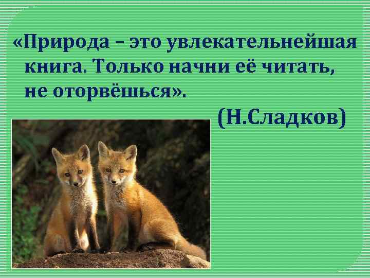  «Природа – это увлекательнейшая книга. Только начни её читать, не оторвёшься» . (Н.
