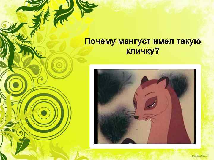 Почему мангуст имел такую кличку? 