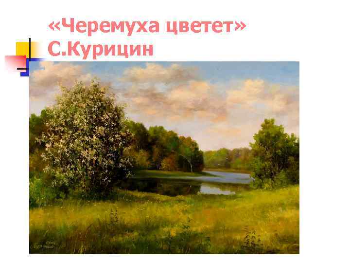  «Черемуха цветет» С. Курицин 