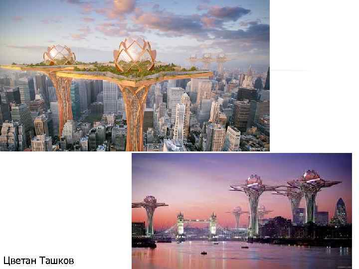 Цветан Ташков 