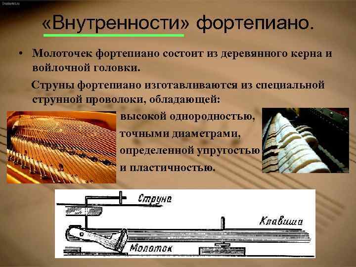  «Внутренности» фортепиано. • Молоточек фортепиано состоит из деревянного керна и войлочной головки. Струны