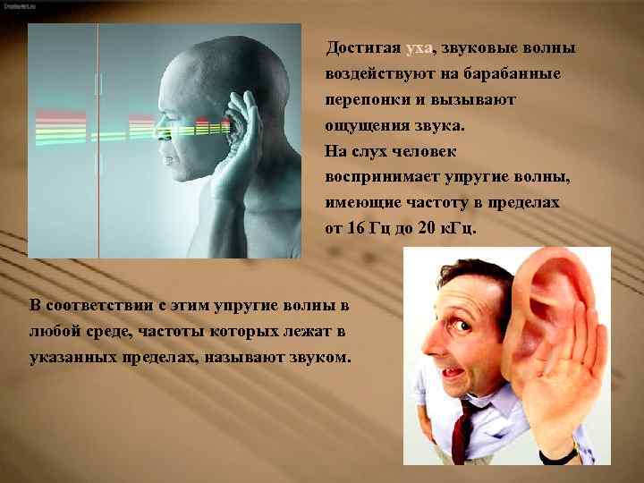 Достигая уха, звуковые волны воздействуют на барабанные перепонки и вызывают ощущения звука. На слух