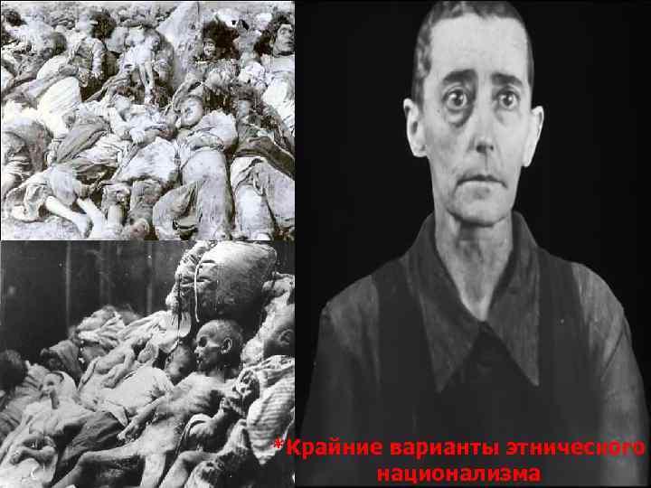 *Крайние варианты этнического национализма 