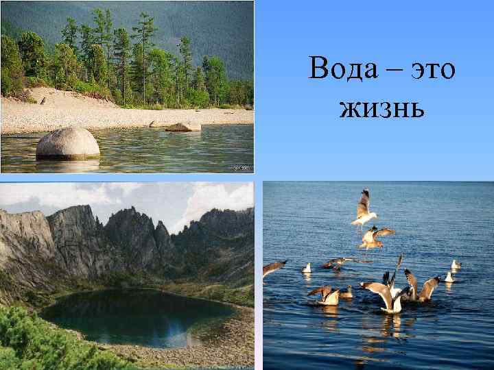 Вода – это жизнь 