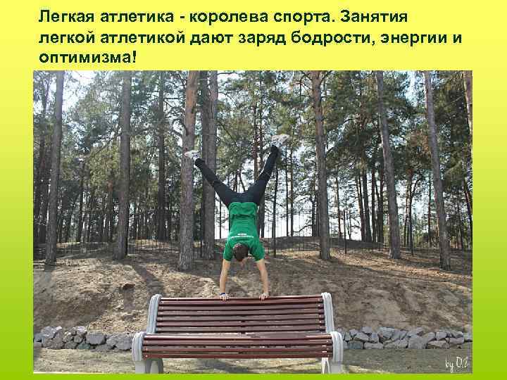 Легкая атлетика - королева спорта. Занятия легкой атлетикой дают заряд бодрости, энергии и оптимизма!