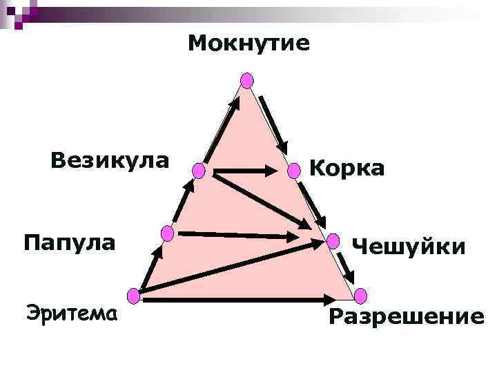 Мокнутие Везикула Корка Папула Чешуйки Эритема Разрешение 
