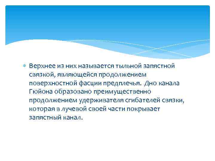  Верхнее из них называется тыльной запястной связкой, являющейся продолжением поверхностной фасции предплечья. Дно