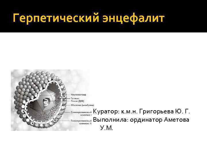 Герпетический энцефалит Куратор: к. м. н. Григорьева Ю. Г. Выполнила: ординатор Аметова У. М.