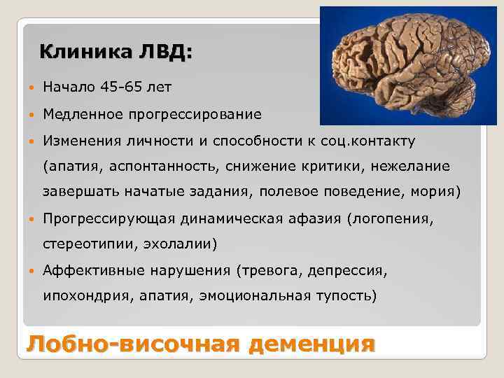 Лобно-височная деменция. Лобная деменция. Лобно-височная деменция симптомы. Лобно височная дегенерация.